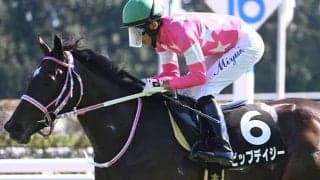 【チューリップ賞想定騎手】ビップデイジーは幸英明騎手、マイエレメントは坂井瑠星騎手