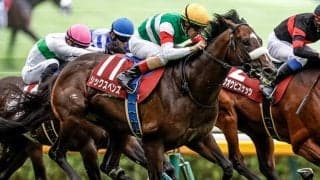 【中山記念想定騎手】シックスペンスはC.ルメール騎手、ソウルラッシュは団野大成騎手