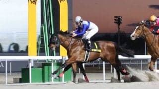 【かきつばた記念】売得金記録を更新…ロードフォンスがV