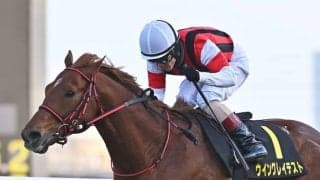 【オーシャンS展望】馬格あって実績あるウイングレイテストが中心