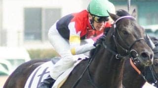 クラシックに向け負けられない一戦 名牝ラキシスの仔がすみれSに参戦