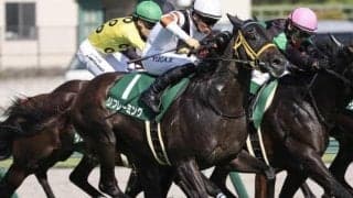 JRA現役馬残り2頭のキングヘイロー産駒の1頭 定年迎える鮫島師に中山記念で重賞タイトルもたらすか