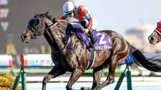 22年スプリンターズS覇者ジャンダルムが10歳で死す 初年度産駒は来年デビュー予定