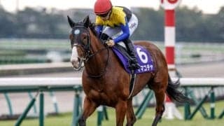 【オーシャンS予想オッズ】ママコチャが予想1番人気