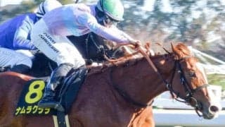 半姉は現役屈指のスプリンター・ナムラクレア チューリップ賞で姉妹重賞制覇＆桜切符獲得なるか