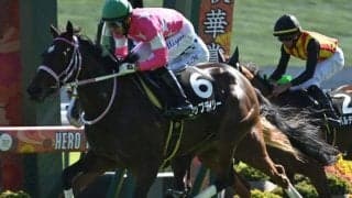 【チューリップ賞予想オッズ】ビップデイジーが予想1番人気