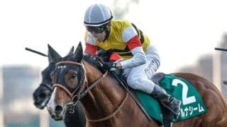 【中山記念展望】距離短縮でさらに好条件のアルナシームの連勝を期待