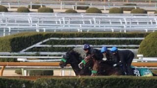 ナグルファル、弥生賞1週前追い切り速報/栗東トレセンニュース