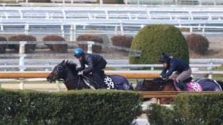ミュージアムマイルなど、弥生賞1週前追い切り速報/栗東トレセンニュース