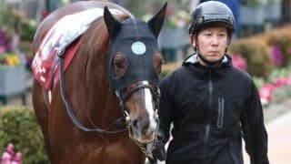 中山記念史上最高齢Vなるか 9歳古豪が9か月ぶり実戦で久々の白星狙う