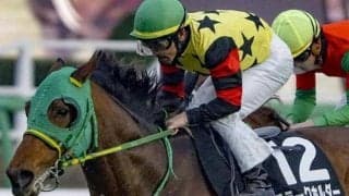 中山芝1200mは3戦3勝 昨秋覚醒の5歳馬が3連勝でオーシャンS制覇狙う