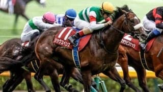 【中山記念予想】1番人気が3年連続馬券外と苦戦続き AIが中心視する実績馬の信頼度は？