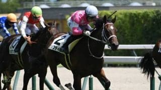 【チューリップ賞展望】条件をすべてクリアするビップデイジーが不動の中心