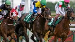 ノースフライト一族悲願の重賞制覇へ 本格化の気配漂う6歳馬が中山記念に参戦