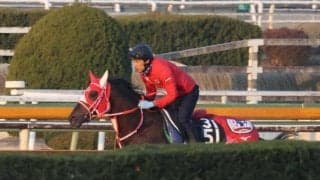 キングスコール、スプリングS2週前追い切り速報/栗東トレセンニュース