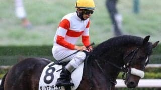伯母に米G1覇者を持つ2.5億円馬 “三度目の正直”で初勝利狙う