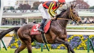 先週GI制覇の半兄に続くか 世代屈指の強豪相手に善戦した期待馬がクラシックに向け賞金加算狙う