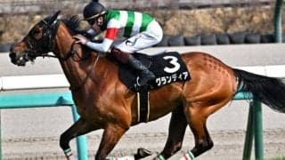 キャリア初のGII挑戦 破壊力秘めた“中山1800m巧者”が中山記念Vなるか