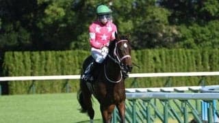 【チューリップ賞枠順確定】ビップデイジーは6枠9番、マイエレメントは8枠14番