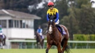 【オーシャンS枠順確定】ママコチャは6枠11番、ステークホルダーは2枠3番