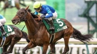 【オーシャンS予想】開幕2週目の馬場と直線距離がポイント!? レース条件や過去傾向から手が出しにくい人気馬とは
