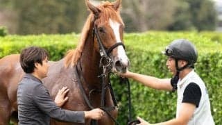 チューリップ賞は重馬場が濃厚 「ダンジグ」の血が的中のヒントに