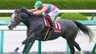 中山芝は前＆内が圧倒的有利!? テイエムスパーダの逃げ切りがあるぞ