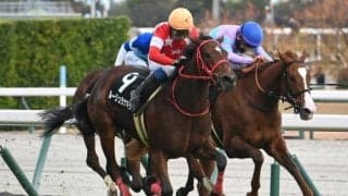 【フィリーズレビュー想定馬・騎手】ルージュラナキラ、ランフォーヴァウなど25頭
