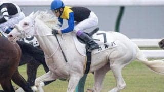 半姉にGI馬ソダシ＆ママコチャ 白毛の良血馬が待望の2勝目なるか