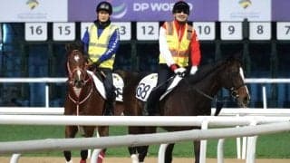 ドバイ・スーパーサタデーにテーオーサンドニ、アメリカンステージが出走