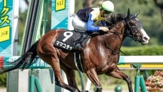 【今日の注目ポイント】中山でオーシャンSと阪神競馬場がリニューアルオープン