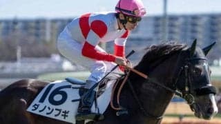 セレクト1.9億円のダノンブギ 今度こそ初勝利なるか
