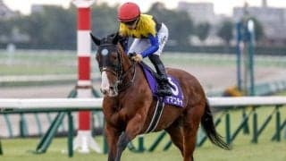 【オーシャンS予想】舞台は変則的なワンターン 好走にはスピードが求められる