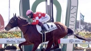 【競馬予想】チューリップ賞は「荒れるレース」に変貌　穴党記者が注目する超ド級の穴馬