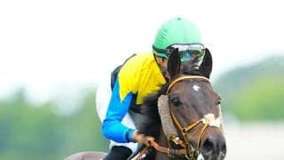 【競馬予想】春のＧⅠにつながる中山記念で狙うべき血統は？　コース適性からベテラン馬２頭の奮闘に期待