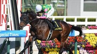 【すみれS結果】ジーティーアダマンが逃げ切りデビュー2連勝