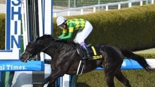 【仁川S結果】武豊騎手騎乗の9番人気ルクスフロンティアが抜け出し快勝
