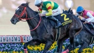 【中山記念予想】前走重賞組が圧倒的な強さを見せる！ 前走オープン特別以下の馬はレースレベルの高さが重要