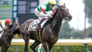 【チューリップ賞予想】前走で底を見せていないことが好走条件!? 重賞好走馬に立ちはだかる試練とは