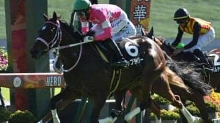 【チューリップ賞前日オッズ】ビップデイジーが3.3倍で1番人気