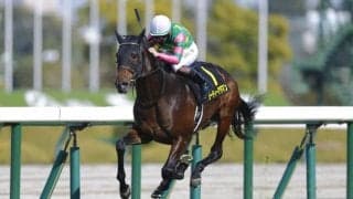 【すみれS】ジーティーアダマンがデビュー2連勝