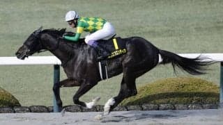 【仁川S】武豊ルクスフロンティアが鮮やかに抜け出す