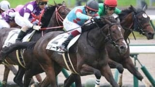 半兄は朝日杯FS覇者のサリオス サリーチェが待望の初勝利なるか