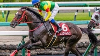中山芝は内＆前有利 絶好枠のエコロヴァルツが重賞初制覇だ
