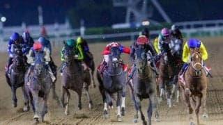 【ドバイ・ブルジュナハール】日本のテーオーサンドニは大敗