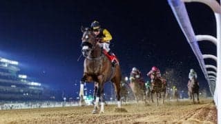 【ドバイ・マハブアルシマール】アメリカンステージが2着に好走…勝利したのはタズ