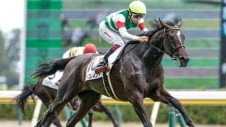 【チューリップ賞予想】桜花賞と同舞台のステップレース 来月の大舞台見据える乙女が集結