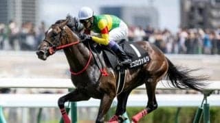 【中山記念予想】勝ち馬には大阪杯への優先出走権 国内外のGI戦線を占う別定GII