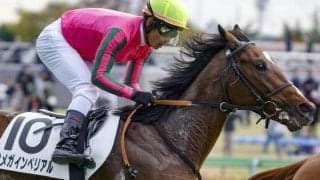 母は名牝ヌーヴォレコルト オメガインペリアルが2勝目なるか