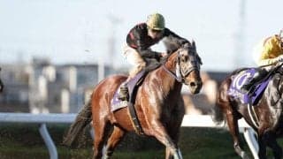 19年JBCスプリント覇者 ブルドッグボスが産駒のJRA初勝利